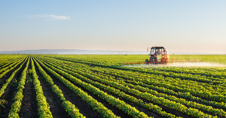 Fertilizer Processing Industry